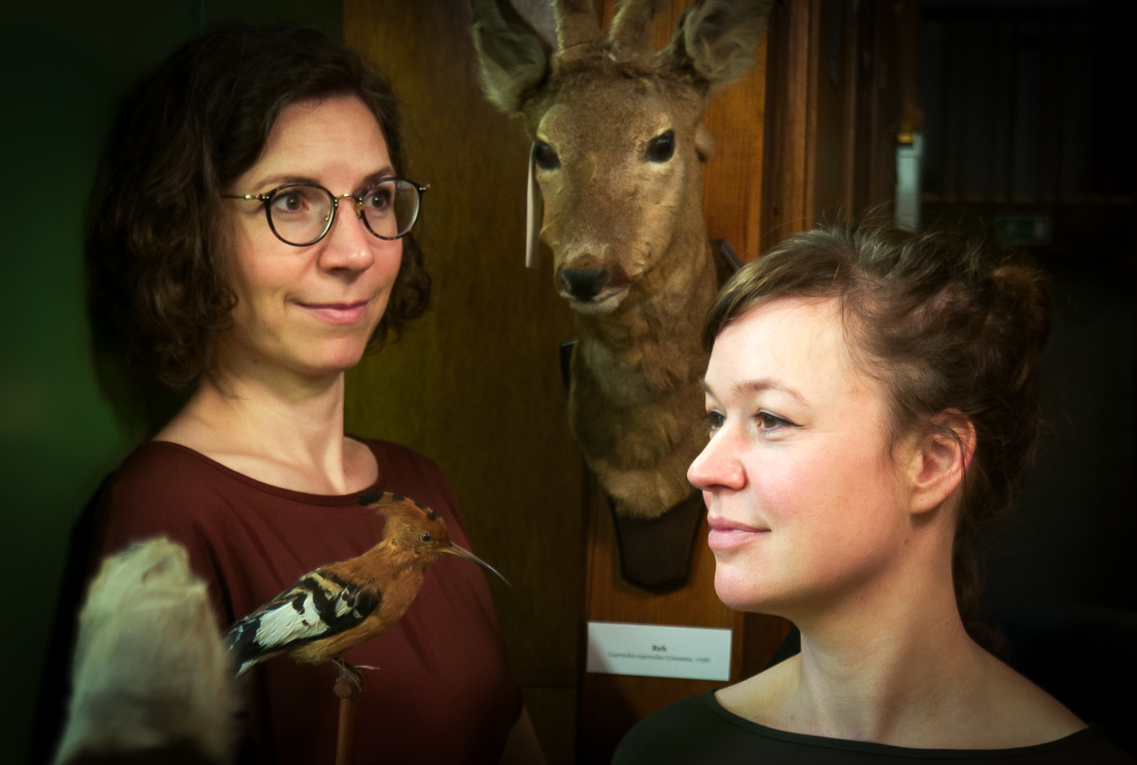 Carolin Hlusiak und Maja Hilke interpretieren in ihrer Hommage Lider von Georg Kreisler.